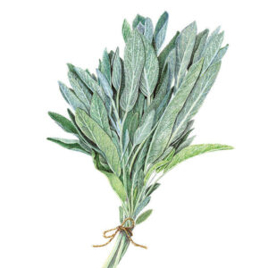 Sage 50g