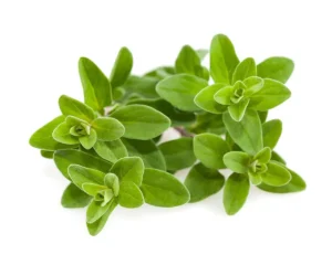 Marjoram 50g