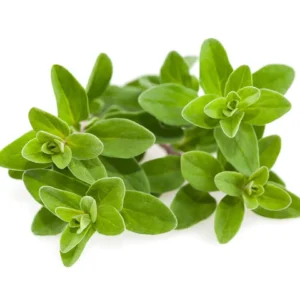 Marjoram 50g