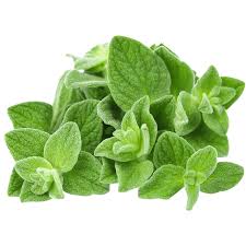 Oregano 50g