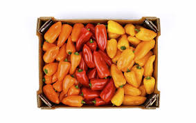 Sweet Bite Kg - Red, Yellow, Orange